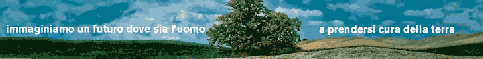 banner cat